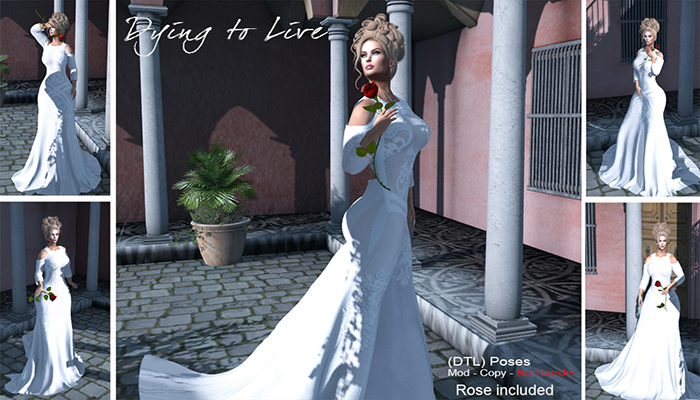 DTL SHOW ME YOUR DRESS 1 -5 - MP