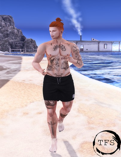 TFS - Running Bento Pose #11