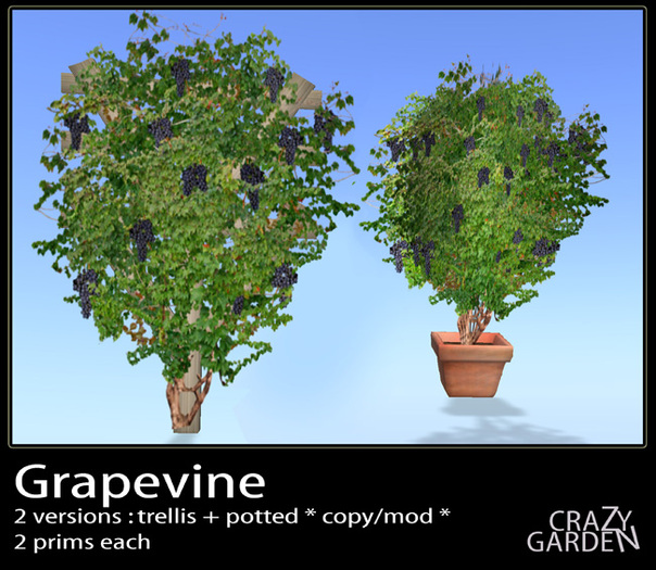 Second Life Marketplace - Grapevine Grape plant vinyard Mediterranean ...