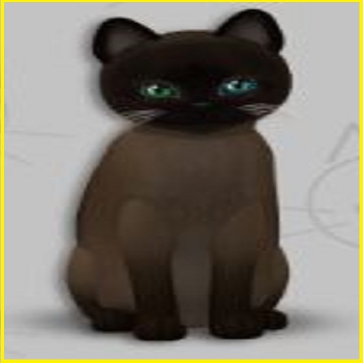 KittyCatS Box - New Born Kitten