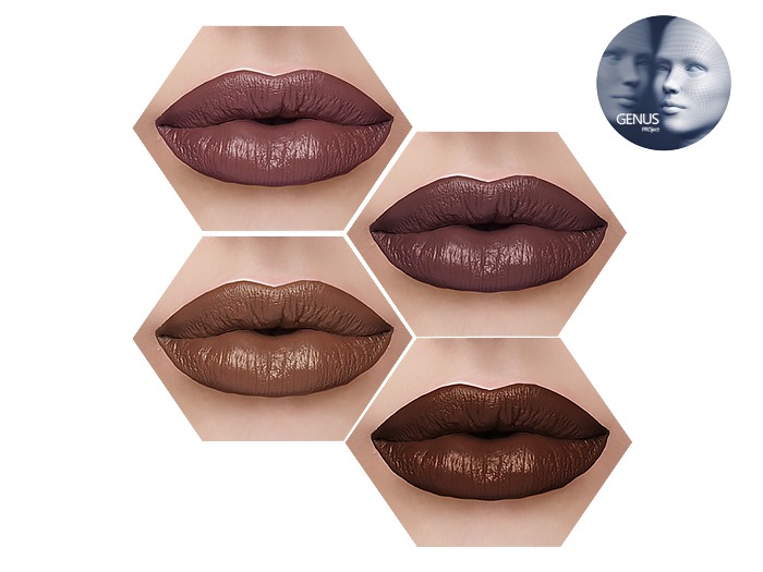 HIVE - Love Collection Pack #3 