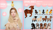 Birdy/Alchemy - Spring Babes - Bunny - Fudge [BOX]