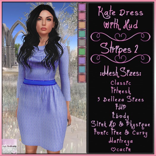Kate Dress With Hud Stripes 2