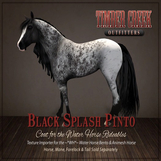[Timber Creek] Black Splash Pinto Coat-Boxed