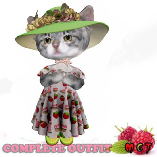 D  Country Party 1cat