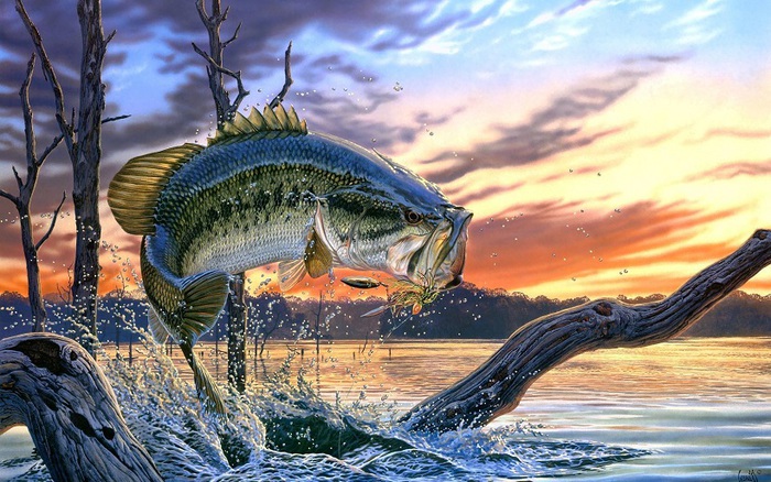 Largemouth Bass