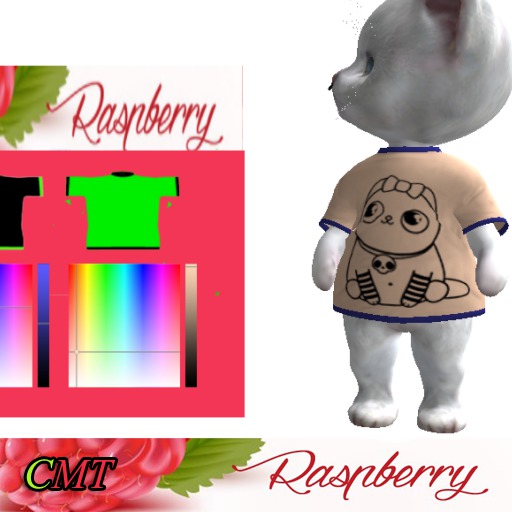 D ANIMATED SHIRT