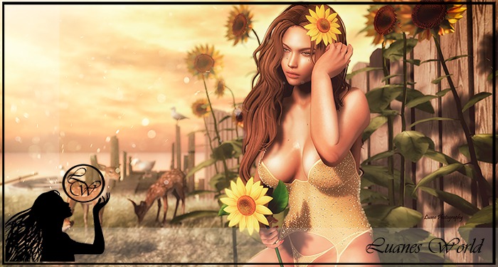 :LW: BENTO Poses - Because BOXED