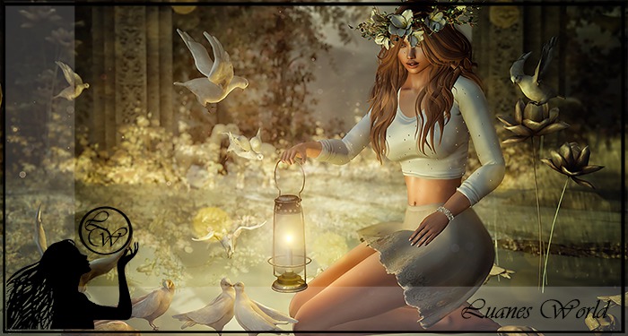 :LW: Bento Poses - Can I