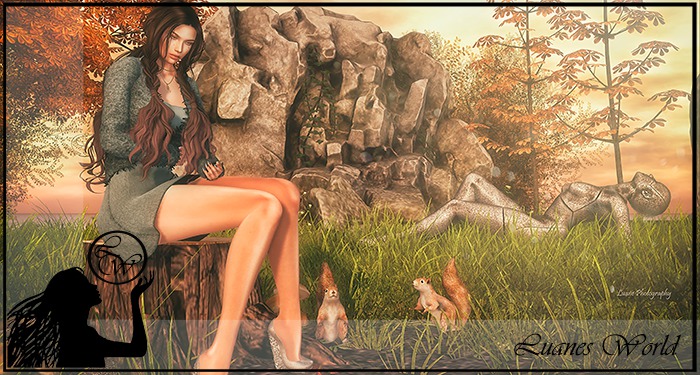 :LW: Bento Poses - Changing Of The Seasons