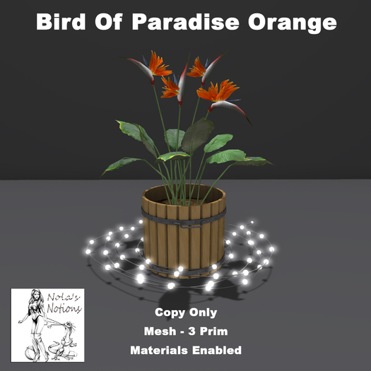 Bird Of Paradise Orange
