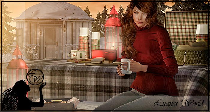 :LW: Bento Poses - Thoughts