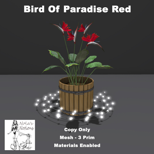 Bird Of Paradise Red