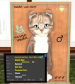 KittyCatS Box - American Shorthair - Blue & White Tabby 5T