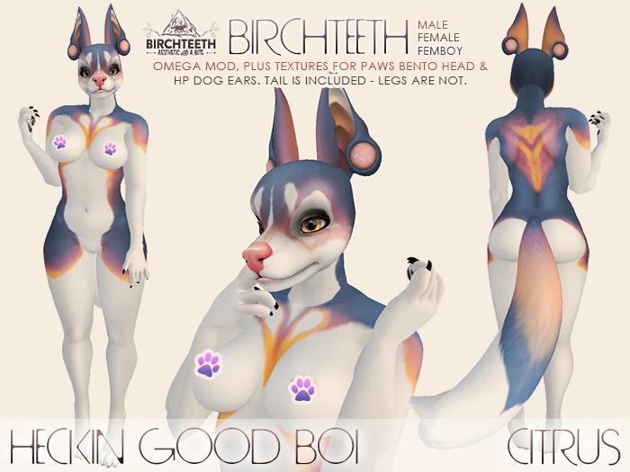 [birchteeth] Heckin Good Boi - Citrus OMEGA