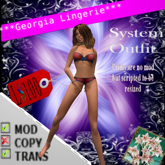 Georgia Lingerie Bag