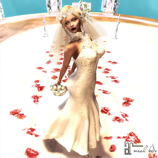 Magical Wedding Dress  by Tina wear and touch
