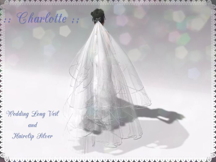 << Charm & Chic >> Charlotte Wedding Tulle Long Veil