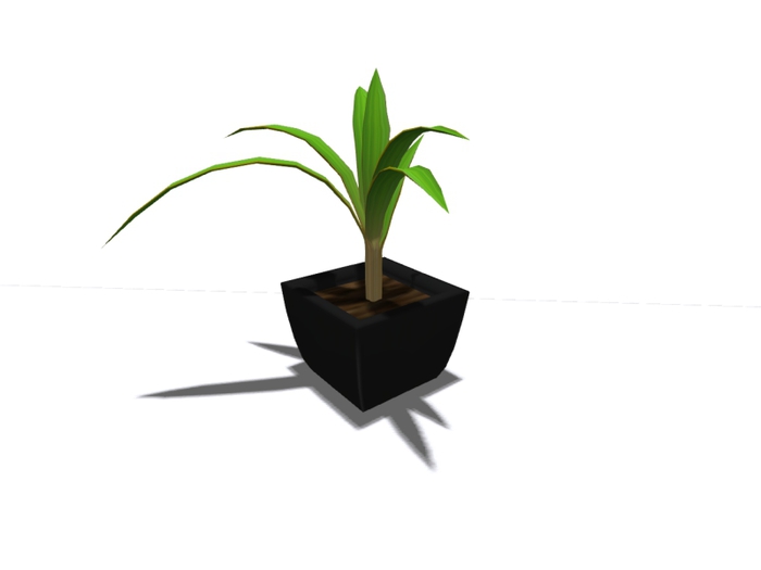plant_7 BLACK