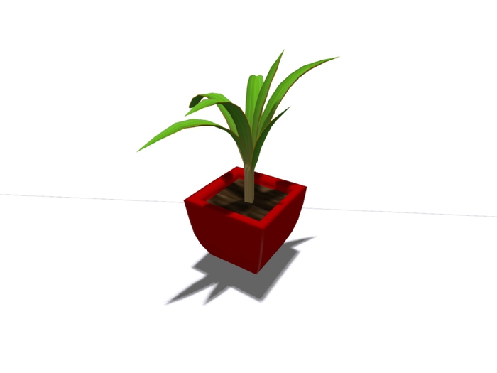 plant_7 RED
