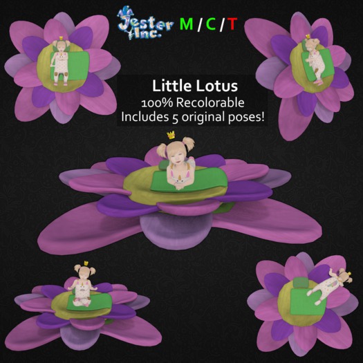 [Jester Inc.] Little Lotus - BOXED