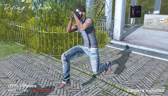 DTL THE PHOTOGRAPHER - MP