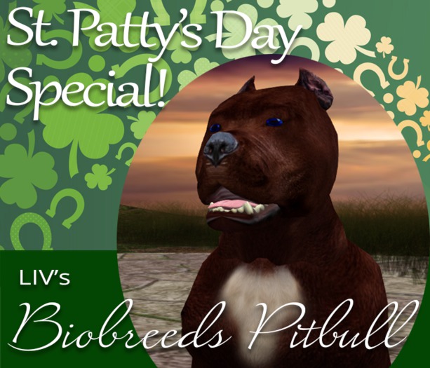 BB Pitbull Box - Brick 3T Female