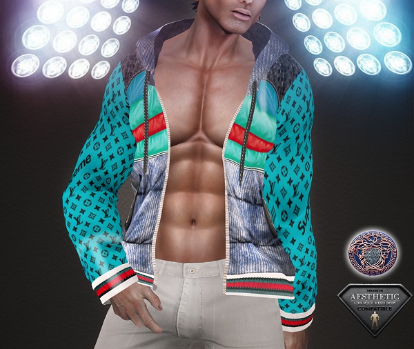 Aesthetic_Long Sleeve Hoodie_5