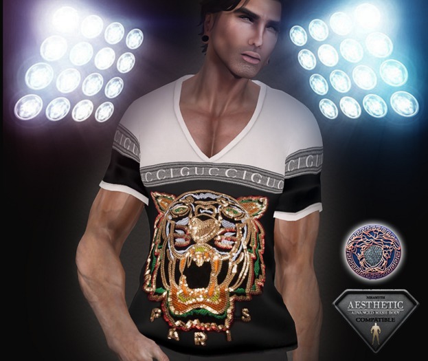 Aesthetic_V_ shirt _4