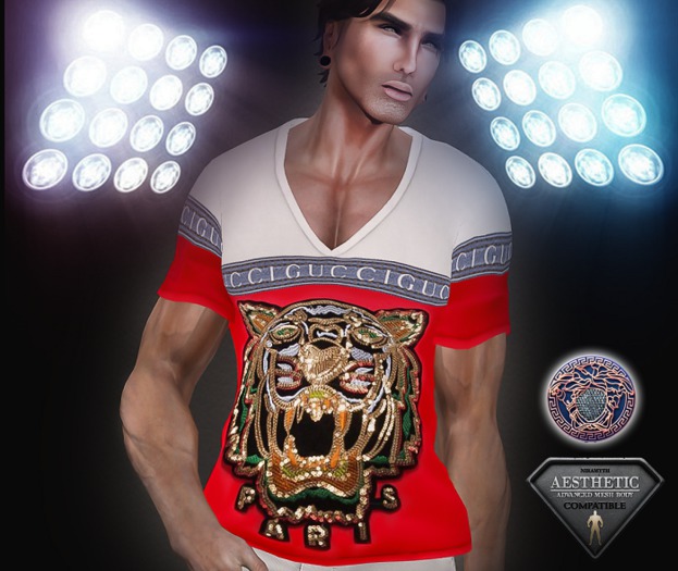 Aesthetic_V_ shirt _7