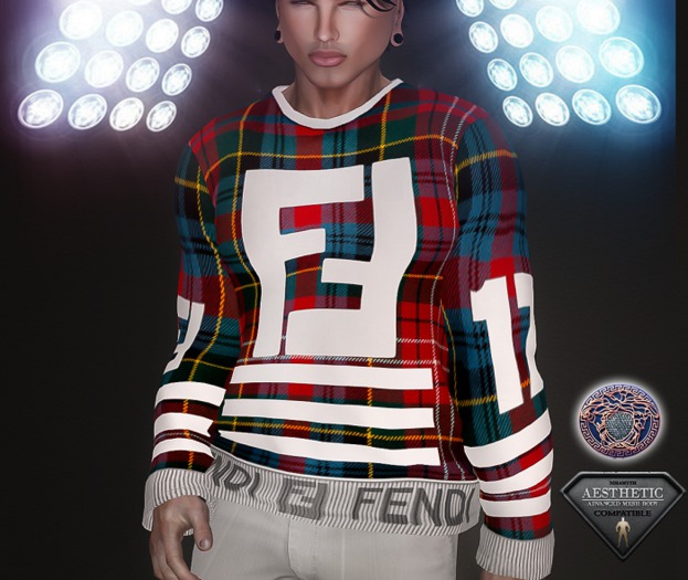 Aesthetic_Long Sleeve _7