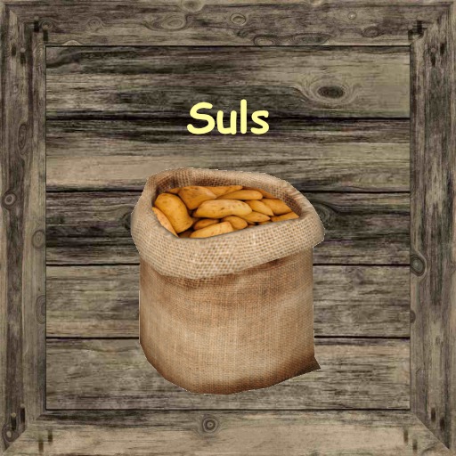 Storage Box Suls
