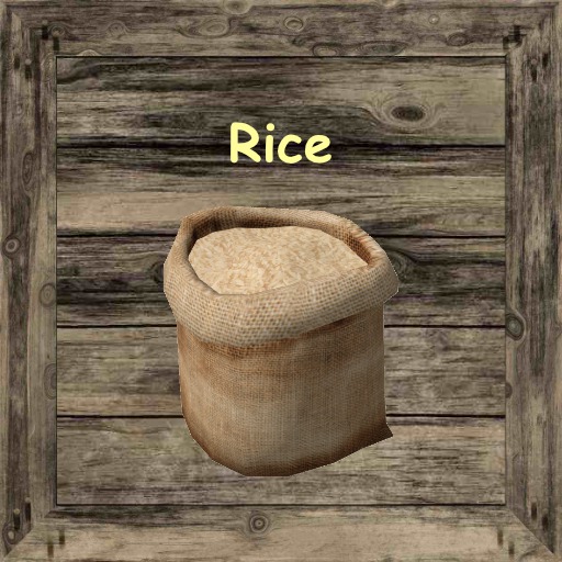 Storage Box Rice