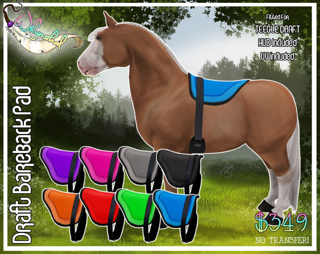 ::Whymsikal:: - Bareback Pad - Teegle Draft