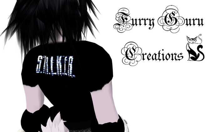 FGC - S.T.A.L.K.E.R. T-Shirt Logo on Back