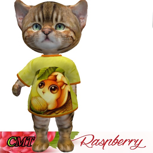D ANIMATED SHIRT SQUIRREL