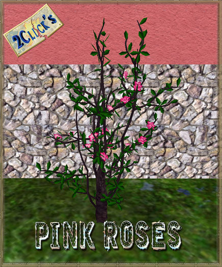 VT PINK  ROSES