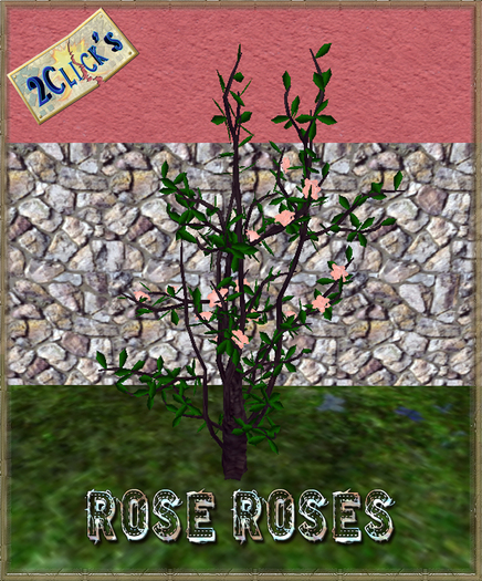 VT ROSE ROSES