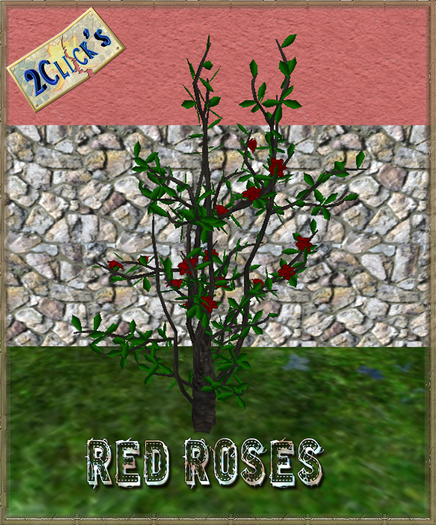 VT RED   ROSES
