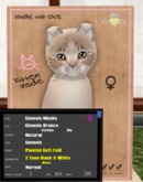 KittyCatS - Genesis - Mocha - 3T