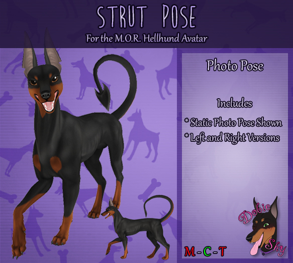 * DS * Strut Pose (Wear to Unpack)