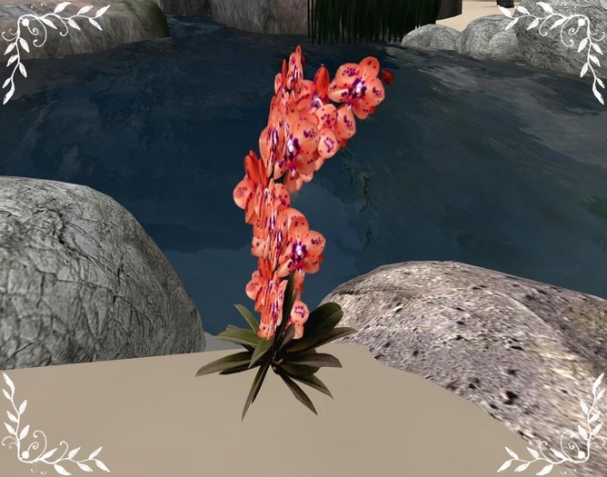 *Teufelin* Blumen