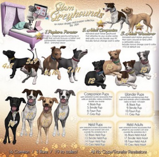 JIAN Glam Greyhounds 1. Puphora Peruser BOX RARE