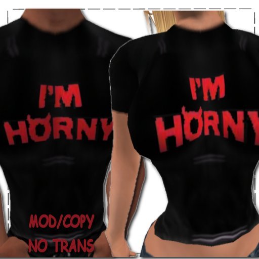 IM HORNY TSHIRT (MOD/COPY)