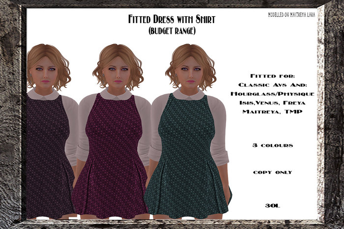 Fitted Dress/Shirt