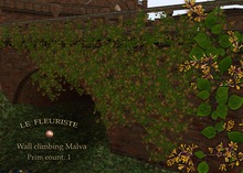 F*ClimbingWall Malva