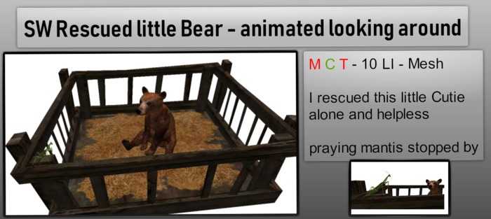 SW Rescued little Bear - animated