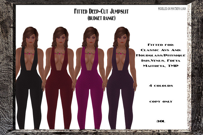 Fitted Deep Cut Jumpsuit