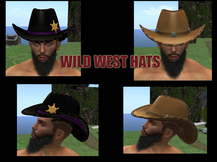 Wild West hats