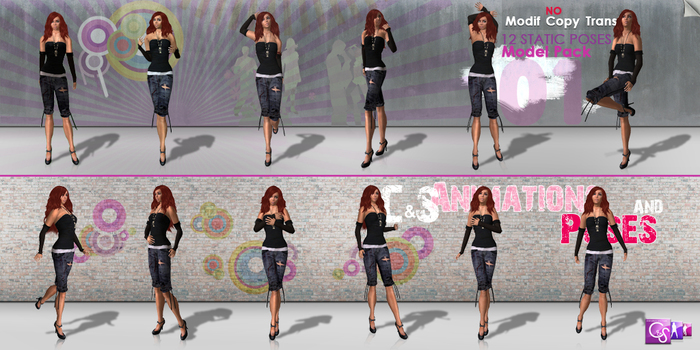 C&S Poses -  Model Pack 1 BOX (transf)
